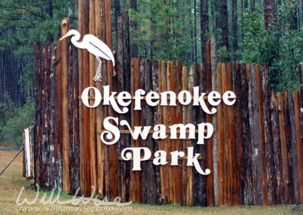 Okefenokee Swamp Picture