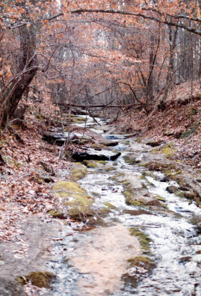 Hard Labor Creek State Park 