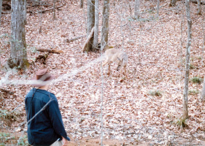 Hard Labor Creek State Park 