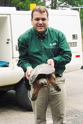 Giant Snapping Turtle Picture