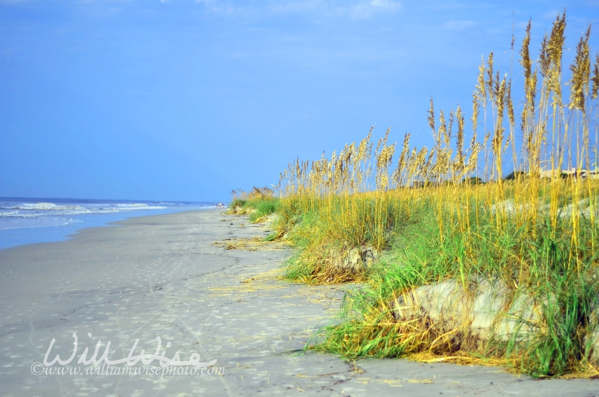 Hilton Head Island Beach Picture