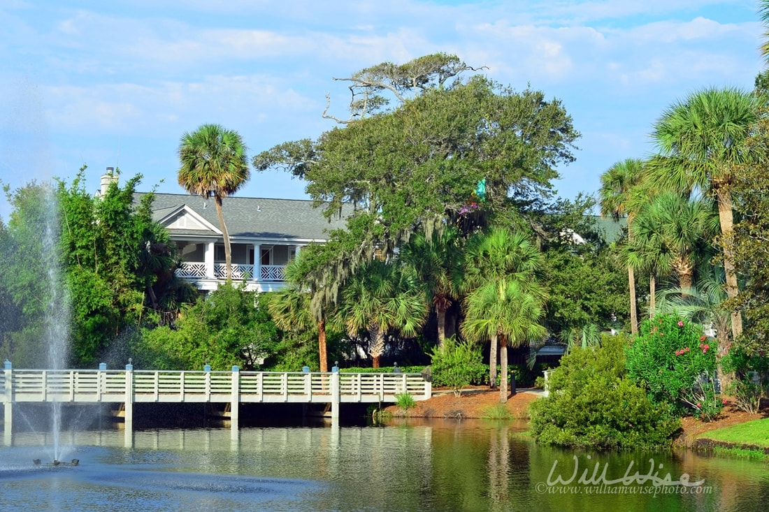 Hilton Head Island Resort Picture