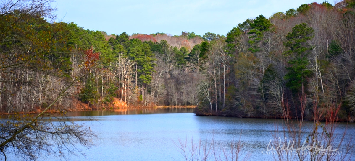 Lake Chapman Sandy Creek Picture