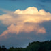 Creation Speaks Water Cycle Picture