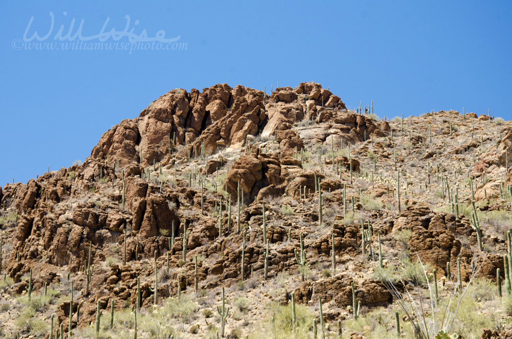 Gates Pass Trail Tucson Arizona Picture