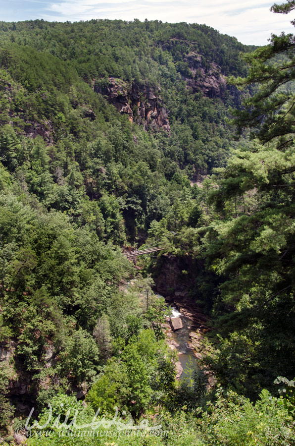 Tallulah Gorge State Park suspension bridge, Georgia Picture