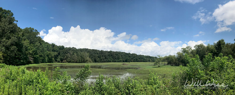Panorama of Dyar Pasture Wildlife Management Area Picture