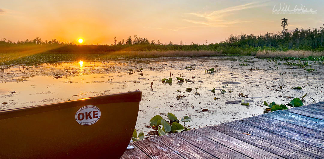 Canoe at Sunset Okefenokee Swamp Picture