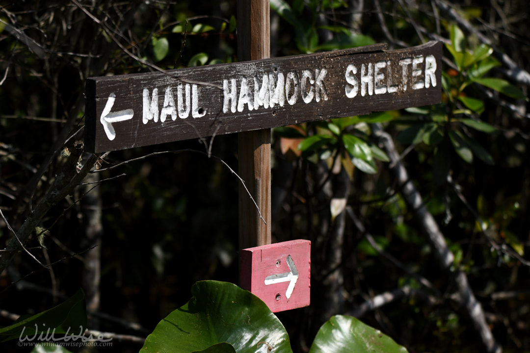 Maul Hammock Shelter canoe trail directional sign in the Okefenokee National Wildlife Refuge, Georgia Picture