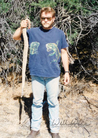 Rattlesnake Picture