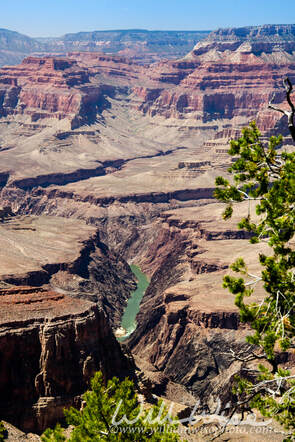 Grand Canyon Colorado River View, Pima Point Picture